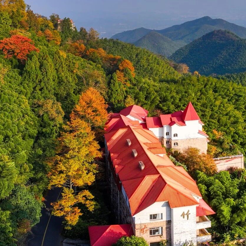 活动封面-【已成行】【莫干山】11月29-30日：秋染莫干山 竹韵章里古道