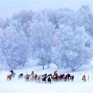热门活动-【休闲 乌兰布统】12月12日晚-14日：冬日秘境：乌兰布统「开启冰雪幻世之旅」