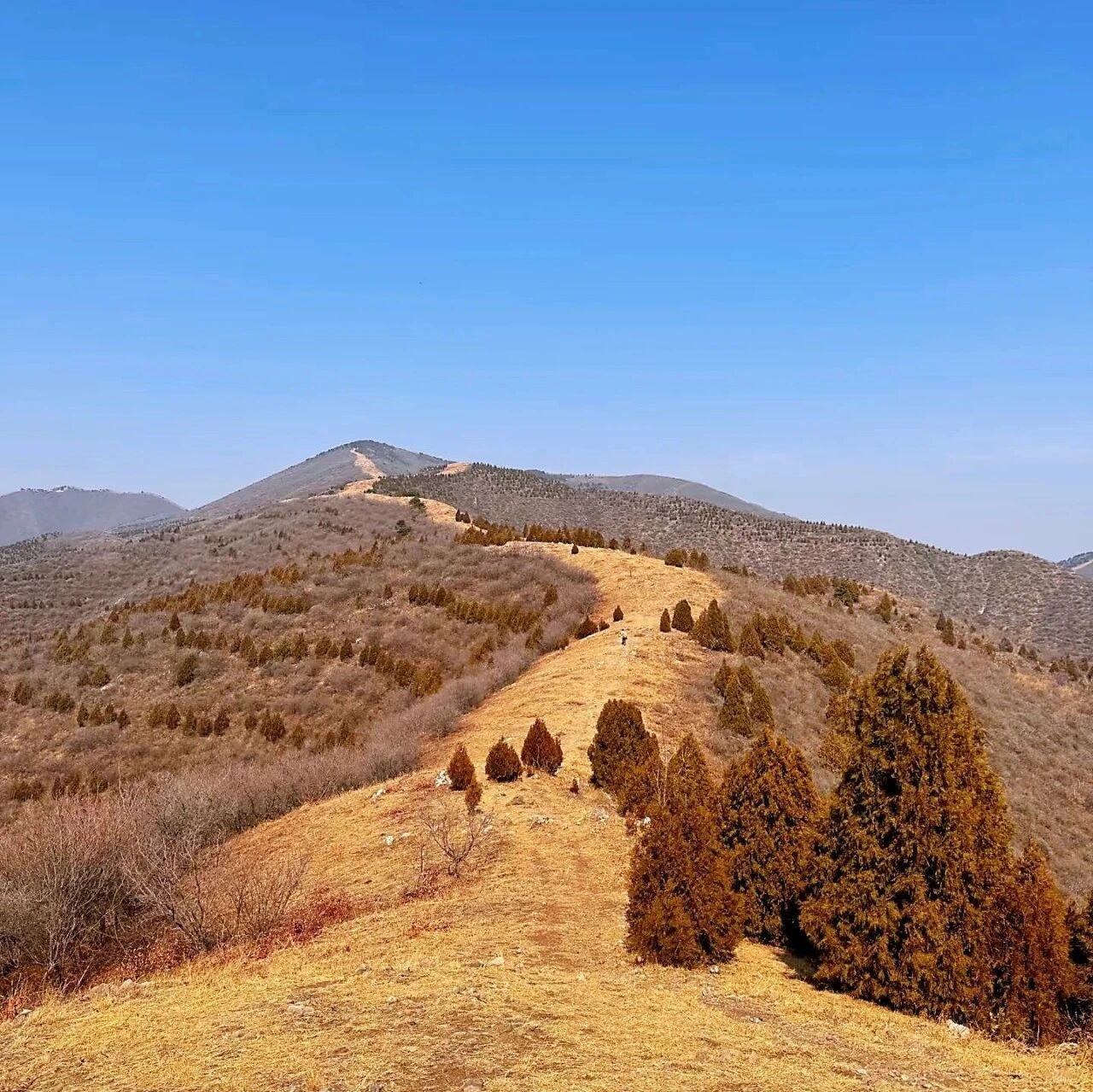 热门活动-【初级】11月29日：天津娘娘顶-翠屏湖「看海线」