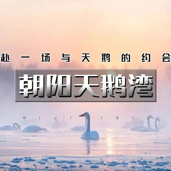 热门活动-元旦朝阳天鹅湾｜行摄朝阳天鹅雪舞飞扬の天鹅湖的夕阳和日出-畅游锦州奉国寺-辽西九华山 2日