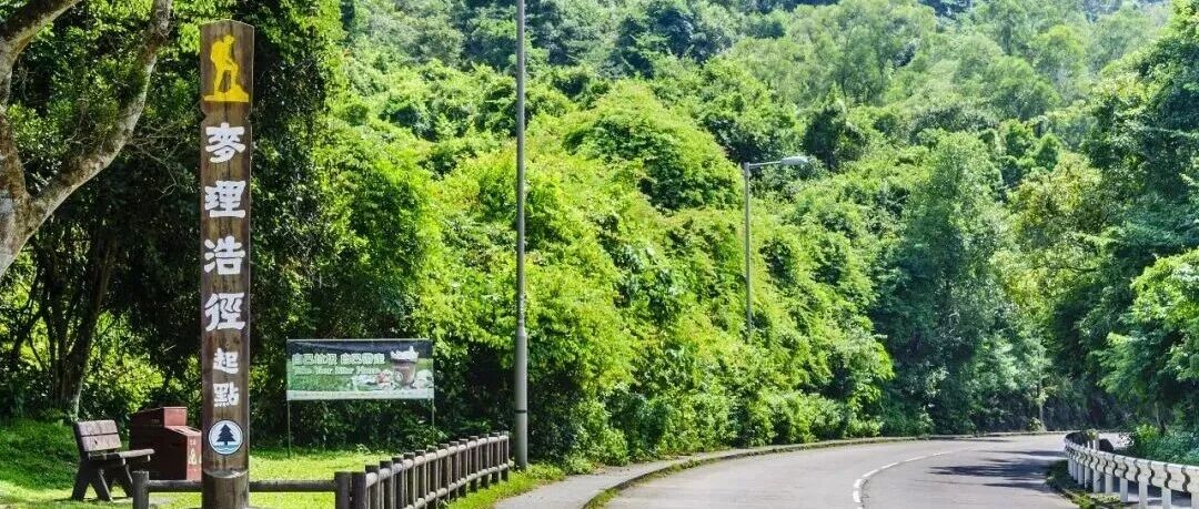 活动封面-【初级+】1月17日-18日：香港麦理浩径轻徒步「山海交响曲」