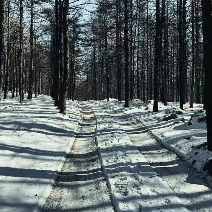 活动封面-【初级】12月20日：麻田岭「小天山」「林海雪原」