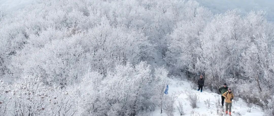 热门活动-【中级】12月20日：白草畔-百花山「龙脊踏雪」「偶遇云海＆雾凇」