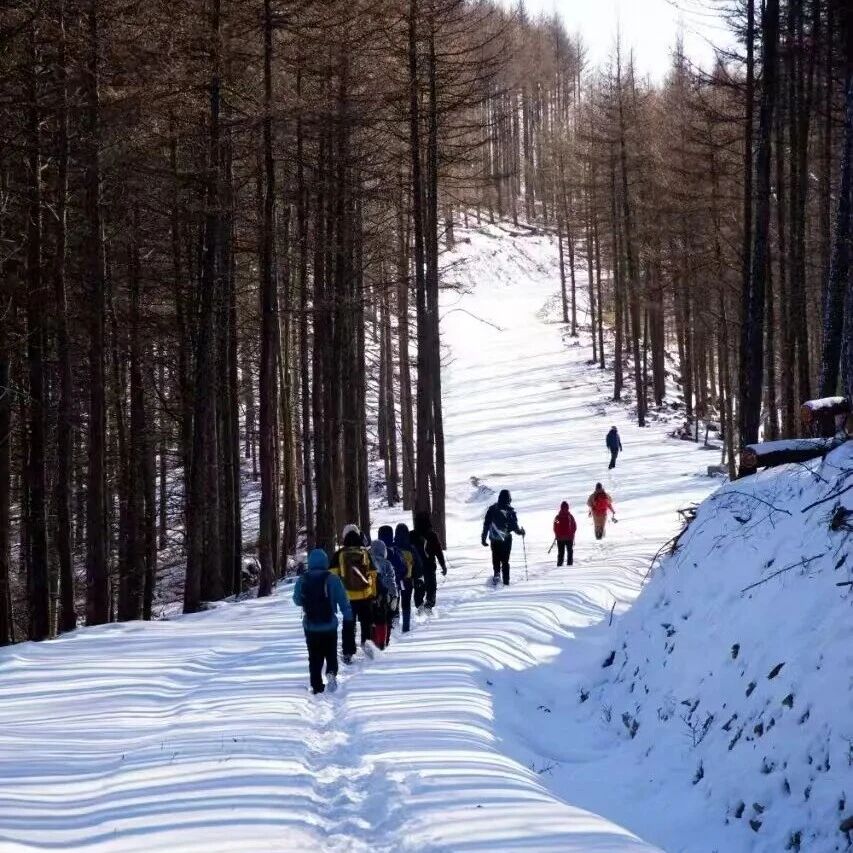 活动封面-【休闲】【探秘蔚县】12月20-21日：麻田岭踏雪-暖泉古镇+蔚州博物馆+西大神堡访古
