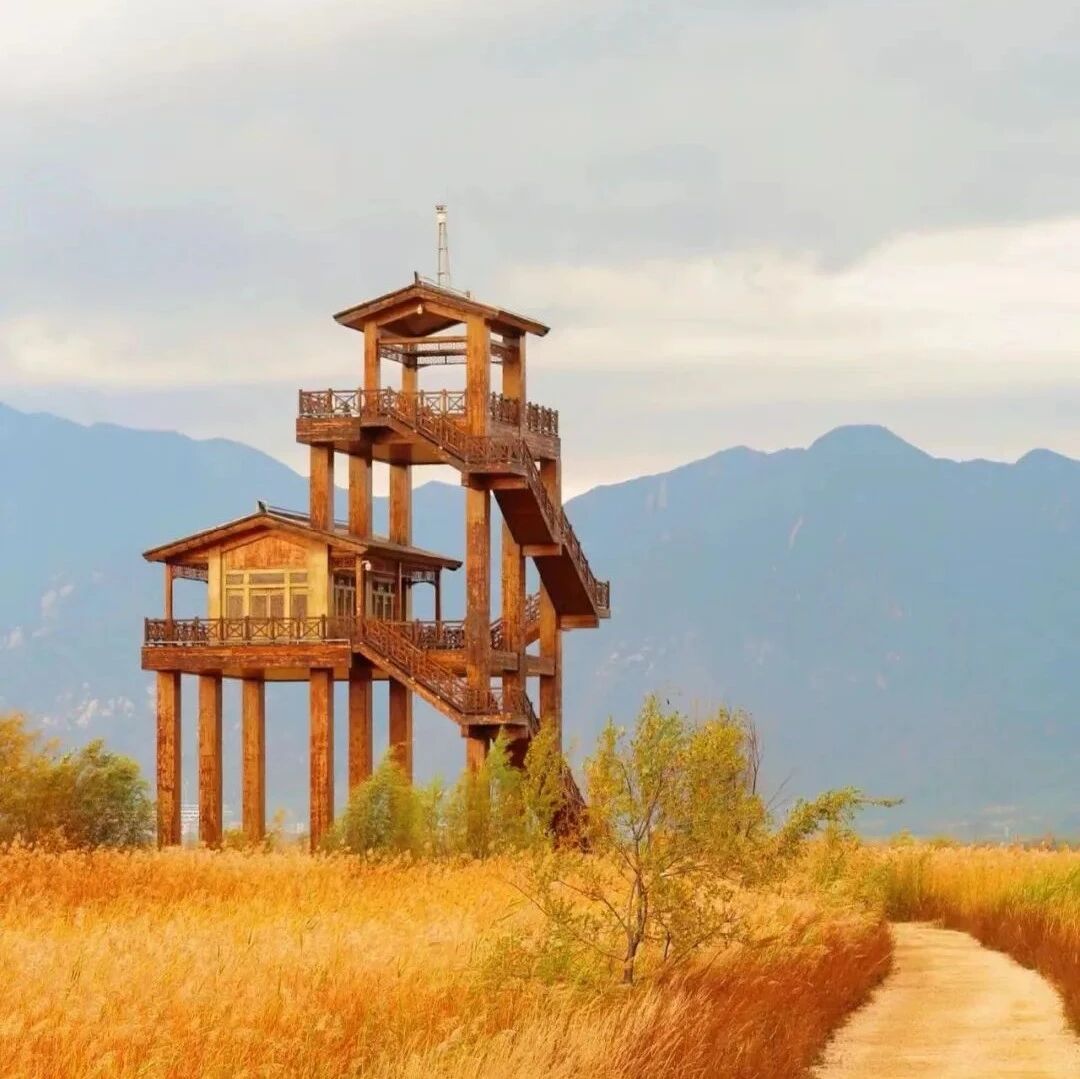 活动封面-【休闲】12月27日：永宁古城-野鸭湖