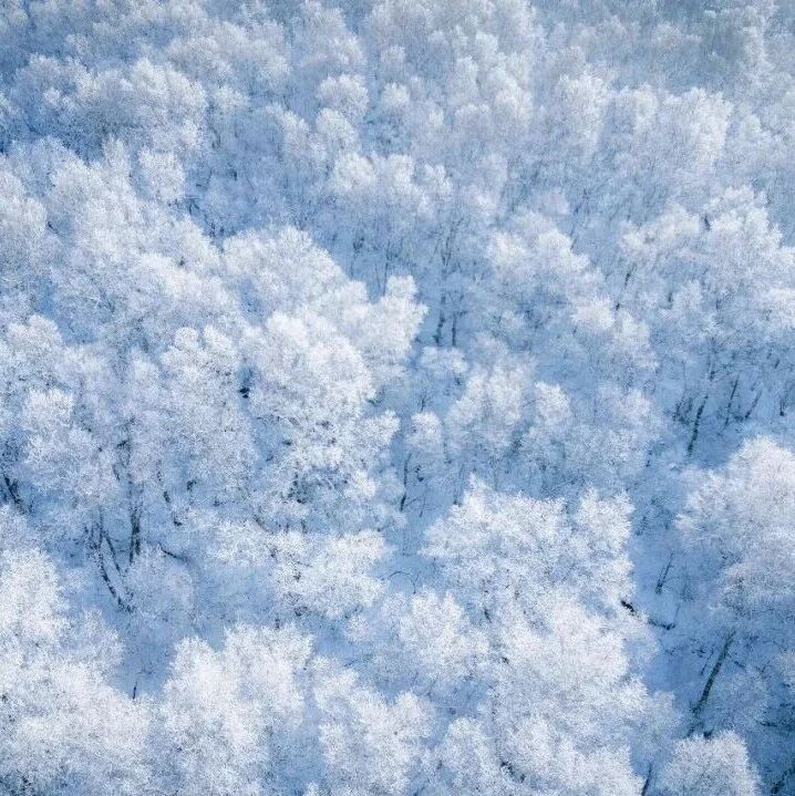 活动封面-【初级+・京畿名山录】12月27日：北灵山-黄草梁「北京小瑞士」「初级进阶」