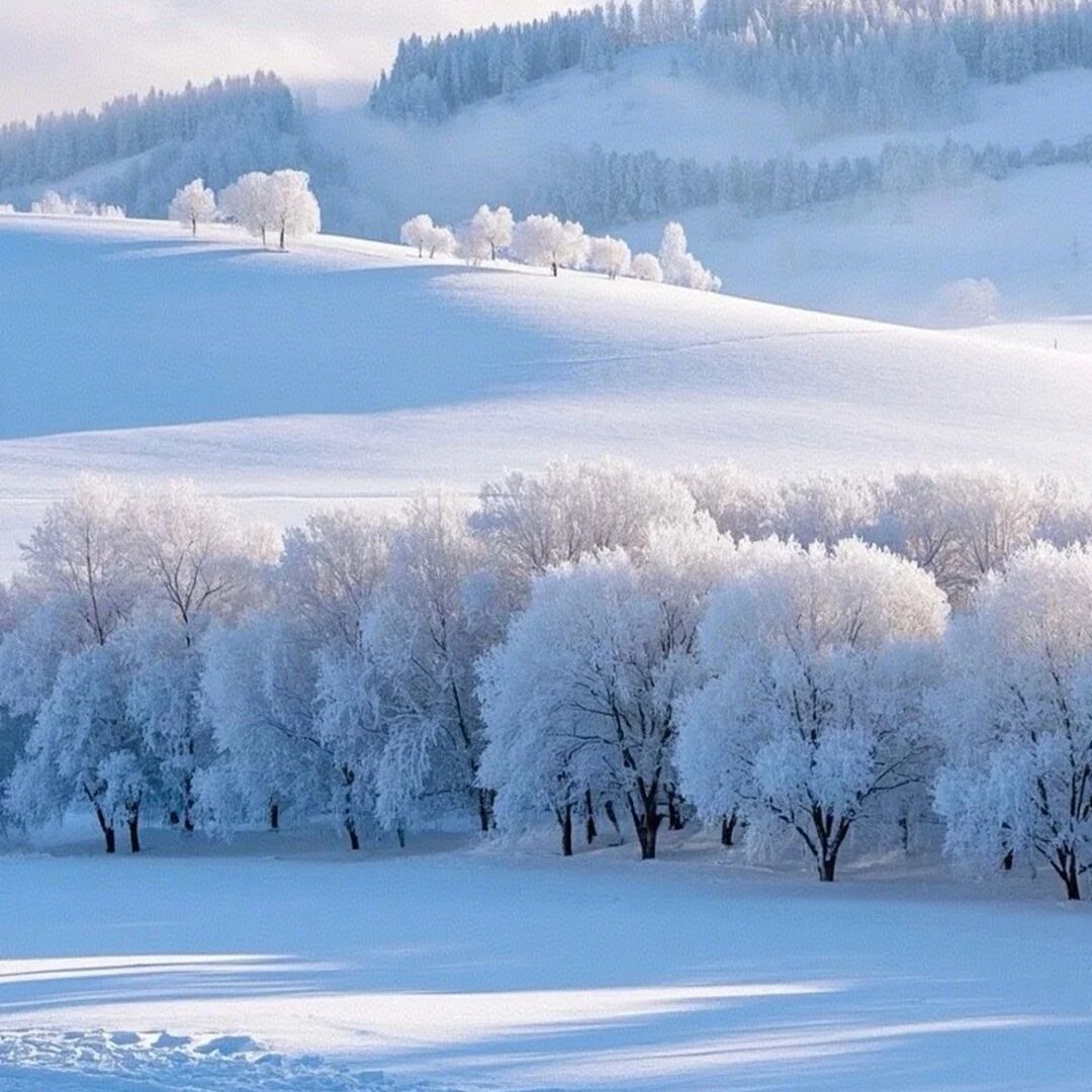 活动封面-【休闲 乌兰布统】1月23日晚-25日：乌兰布统「越野车冰雪穿越之旅」