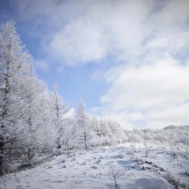活动封面-【初级】1月10日：汗海梁「原始松林」「林海雪原」「带冰爪」