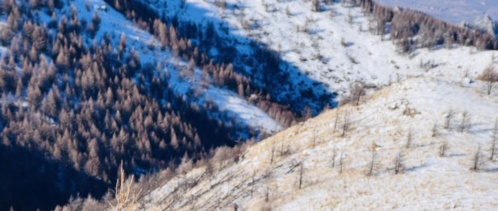 活动封面-【中级】1月10日：西南灵「小五平替」「 冰爪必备」