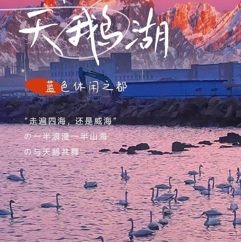 热门活动-春节威海天鹅湖の一半浪漫一半山海-奔赴一场山海之约-大巴4天