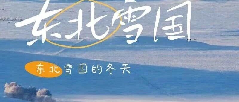 热门活动-春节•东北雪国｜雾凇岛-雪乡-雪谷-林海雪原穿越-威虎山-哈尔滨冰雪大世界 大巴6天