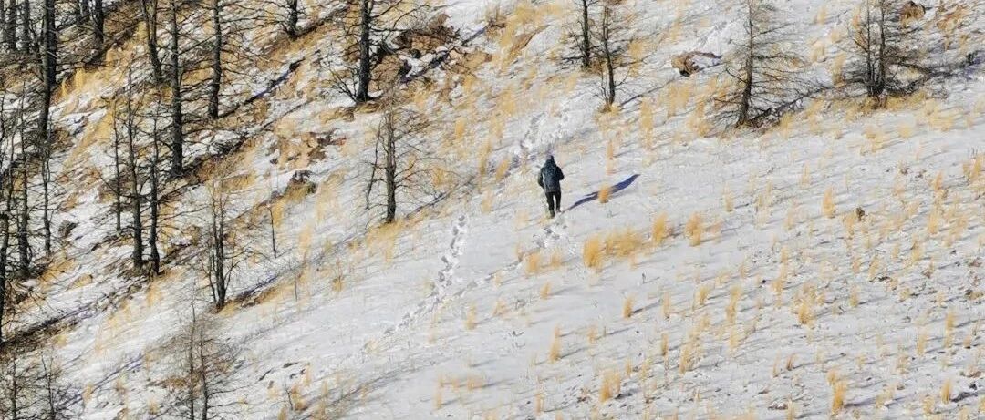 热门活动-【中级】1月31日：西南灵「风和日丽 高山踏雪正当时」