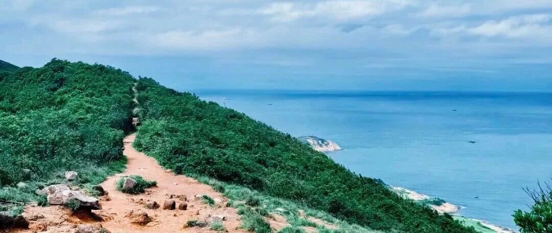 热门活动-周末特种兵｜1月31-2日1（周末不请假）丨香港徒步大满贯之港岛径径越山看海