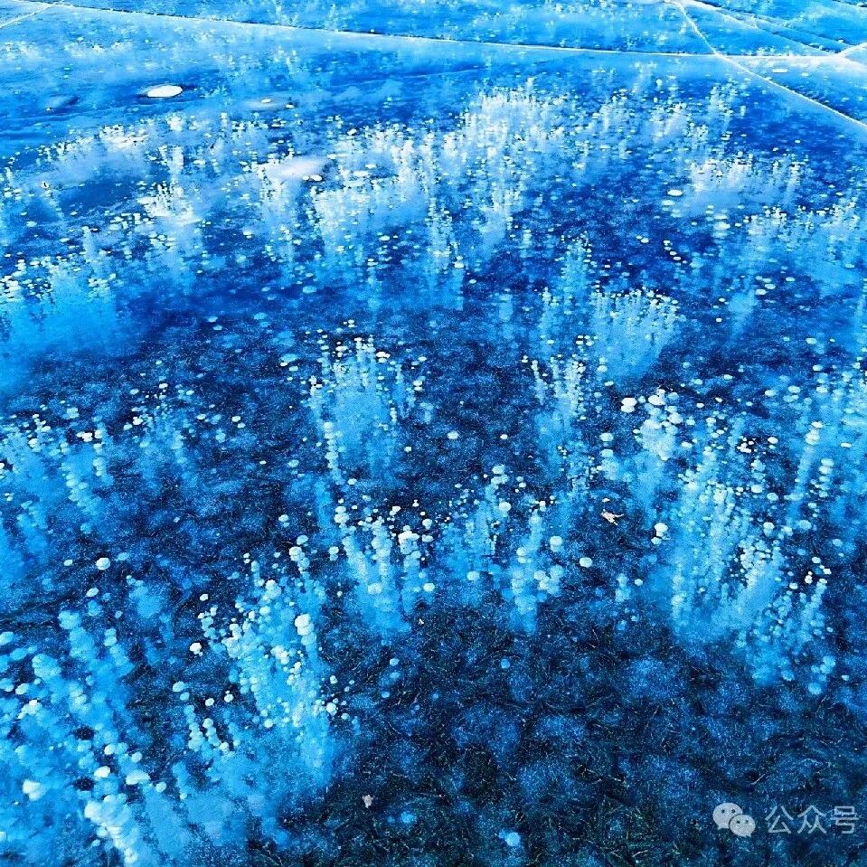 妫水河休闲踏冰！京郊贝加尔湖 [周日]