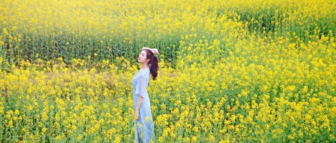 婺源，油菜花海！美爆的3月！[3.14-3.15]