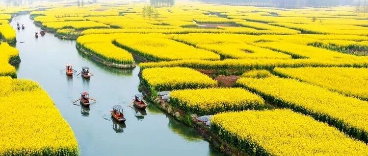 热门活动-烟花三月下扬州！千岛花海+扬州瘦西湖 [3.21-3.22]