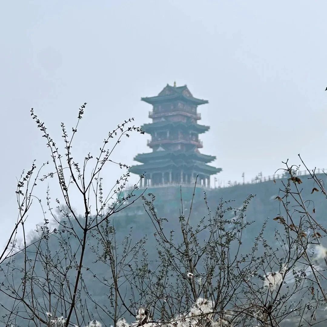 初级适度 | 3.1 周日 | 万桑古道-潭柘寺徒步祈福