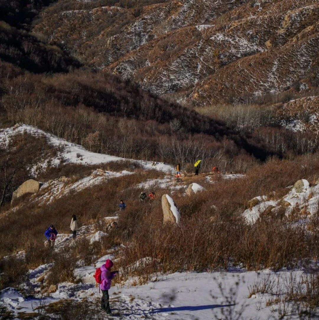 活动封面-初级进阶 | 3.1 周日 | 登顶北京之巅，东灵山徒步赏雪