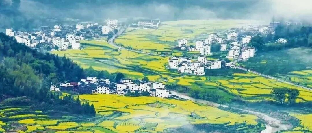 【婺源徒步】3月14-3月15：拒绝人从众，寻秘境古村花海