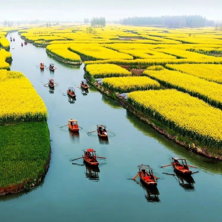 热门活动-烟花三月下扬州！千岛花海+扬州瘦西湖 [3.28-3.29]