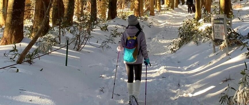 热门活动-【已成行】【国际特辑】【韩国济州岛免签】【机票好价】3月21-22日：樱花季济州岛 汉拿山+偶来小路+樱花大道（精品小团）