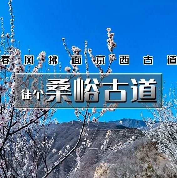 热门活动-特价桑峪古道｜京西桃花开の潭柘寺天坑-广惠寺-定都阁-中门寺10公里徒步<初级>