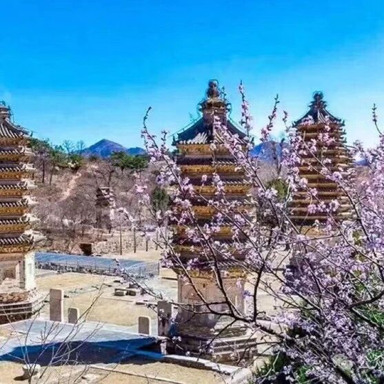 热门活动-【中级】3月21日：银山塔林-望宝川-大黑山环穿【路线有补给】