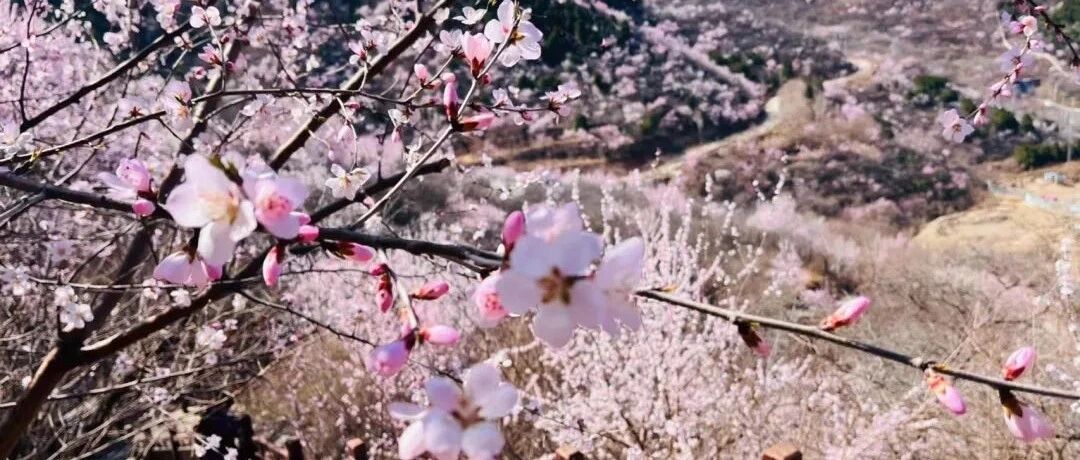 热门活动-【中级】3月21日：六寺连穿