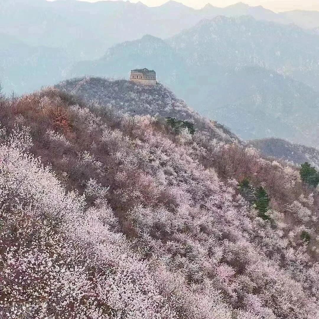 活动封面-【初级】3月29日：麟龙山-撞道口
