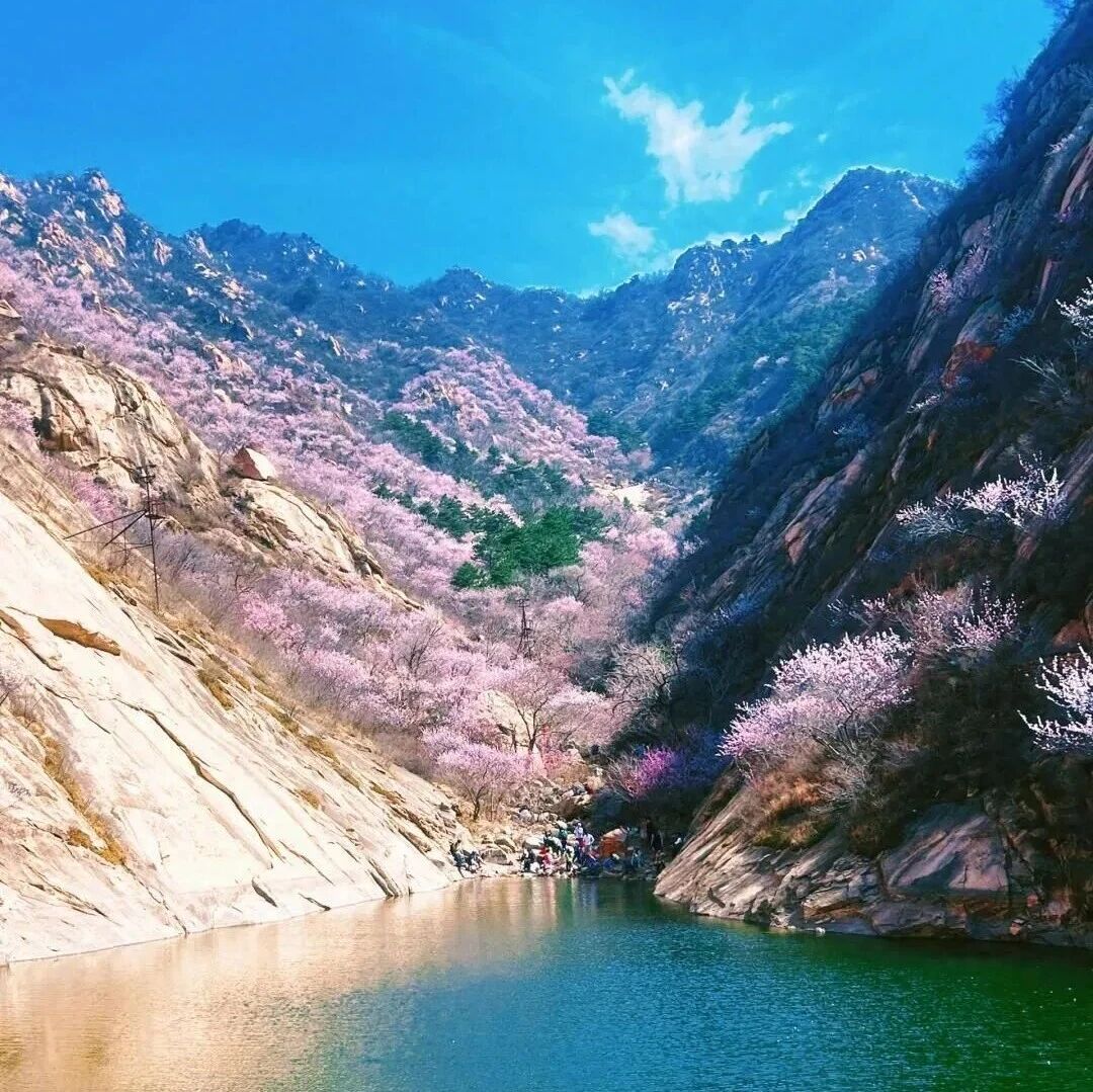 活动封面-【初级or纯休闲|新线】3月29日：五盆沟-盘山「赏桃花热线」「天津小九寨」「亲子友好」「8点集合」