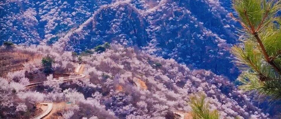 热门活动-初级适度 | 4.6 周一 | 望宝川~银山塔林  桃花谷徒步