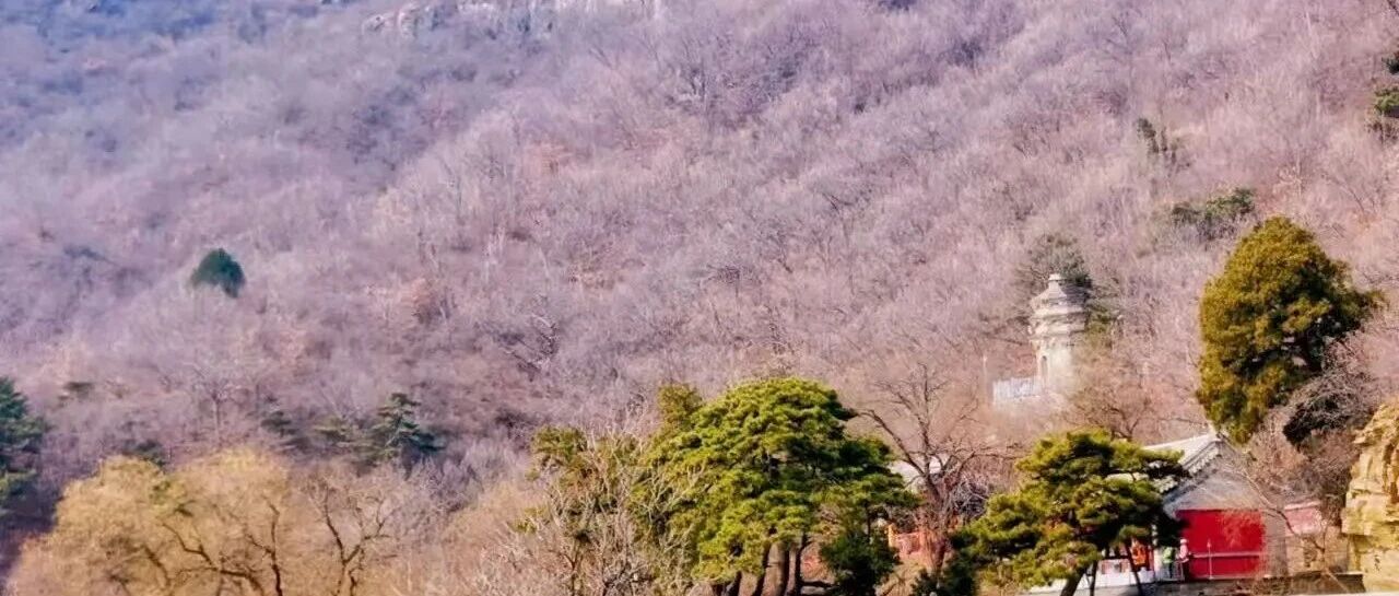 热门活动-初级适度 | 4.5周日 | 超化寺-仙峪沟｜千年佛道共栖，春山桃花漫谷