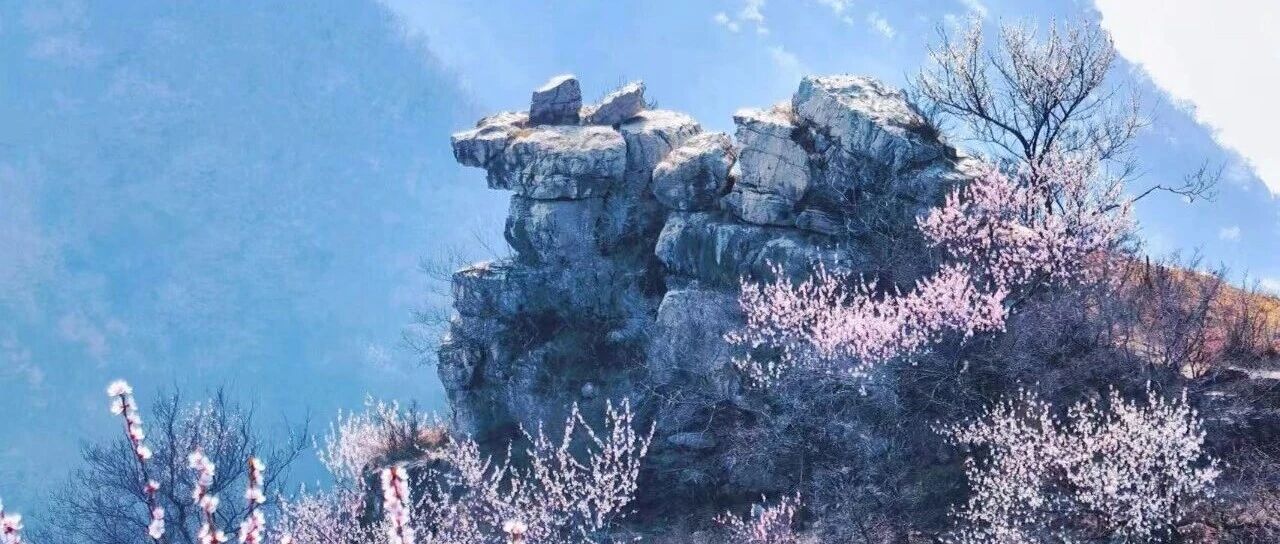 活动封面-初级进阶 | 4.5周日 | 易县桃花顶花海穿越