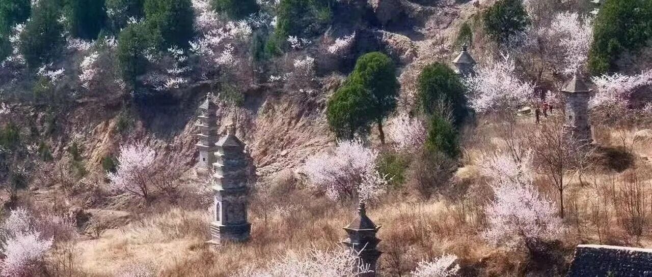 活动封面-初级进阶 | 4.4周六 | 仰山栖隐寺徒步