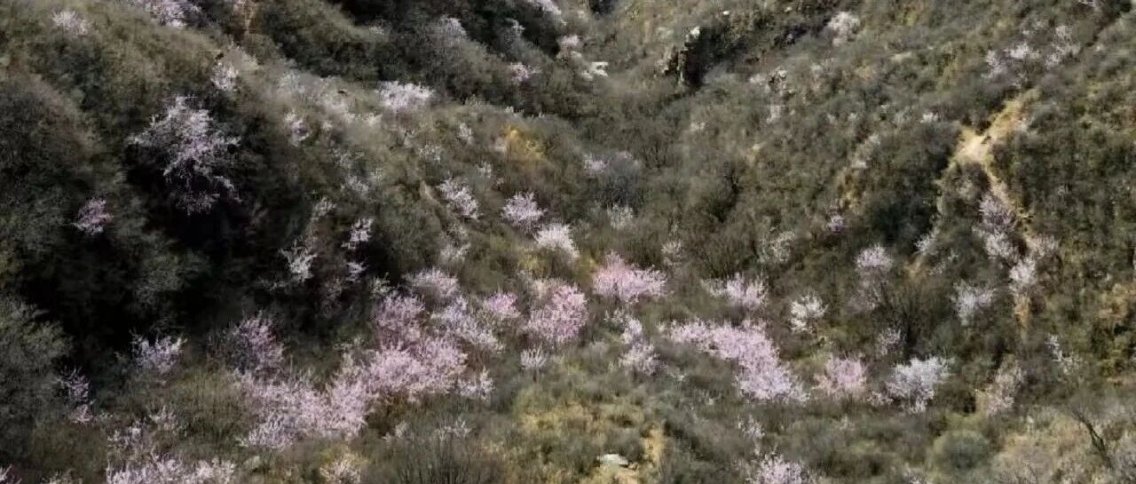 活动封面-初级适度 | 4.4 周六 | 咔嚓古道徒步