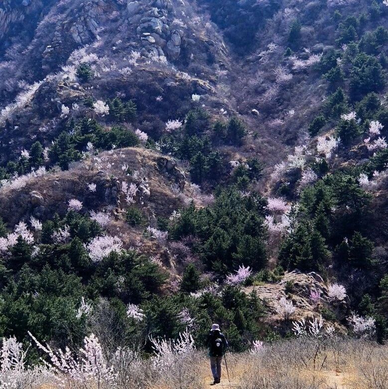 热门活动-【初级+】4月4日：大黑山-望宝川-湖门