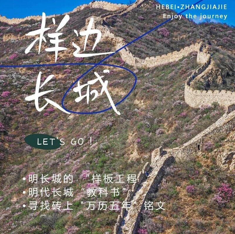 活动封面-样边长城の榆叶梅花海绕边墙｜边关春色