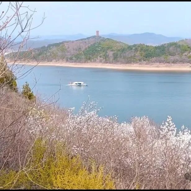 活动封面-【休闲】4月12日：不早起金海湖「湖观山色」「山花已开」「新手入门」