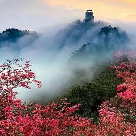 热门活动-【即将成行】【五一•小众】5月1-5日：大别山｜天堂寨-白马尖-马丁公路｜杜鹃花海-瀑布峡谷-红色旧址