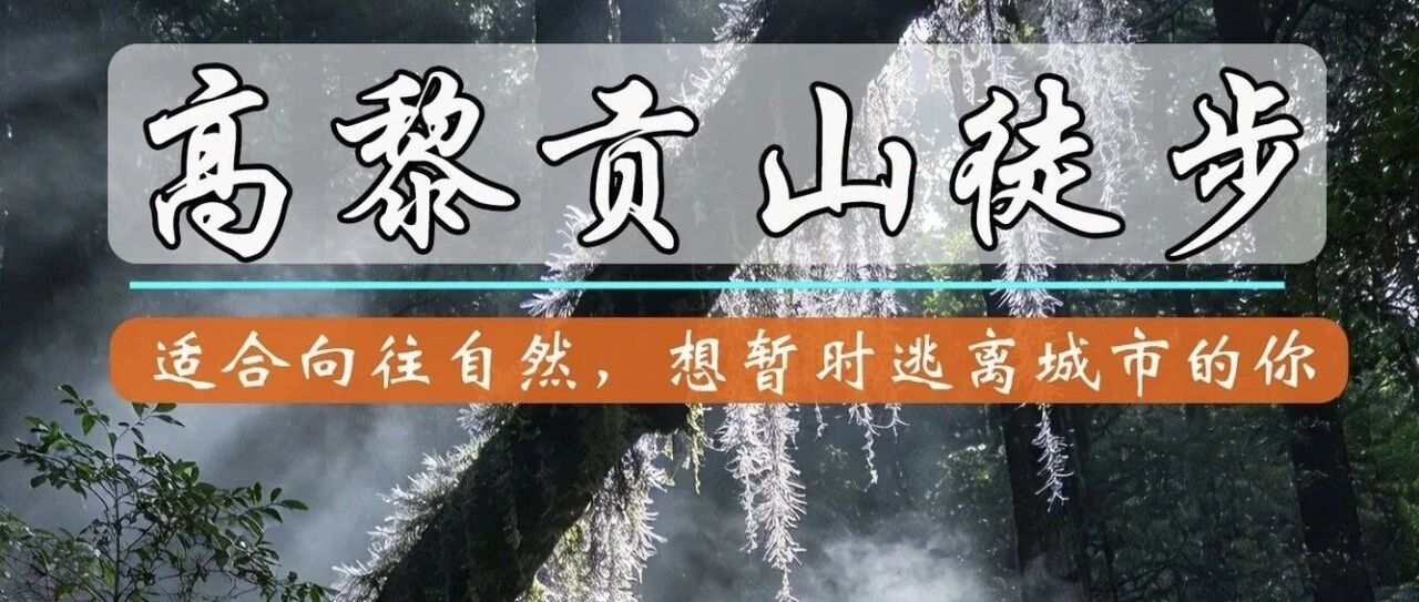热门活动-【即将成行】【五一特辑•高黎贡】【中级/初级】5月1-5日：高黎贡原始森林边界线 「5天4晚」「温泉酒店」