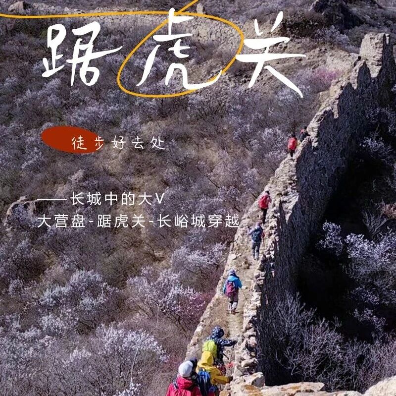 热门活动-踞虎关｜长城中的大Vの大营盘-踞虎关-长峪城14公里穿越<中级>