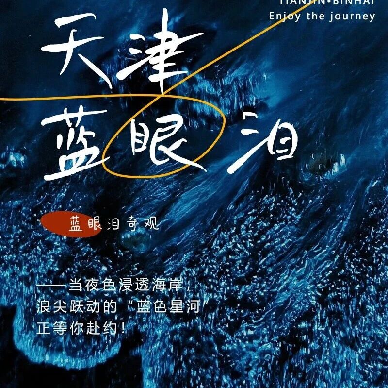 热门活动-天津蓝眼泪｜浪尖跃动的“蓝色星河”の蓝眼泪奇观-东疆港日出&海鸥