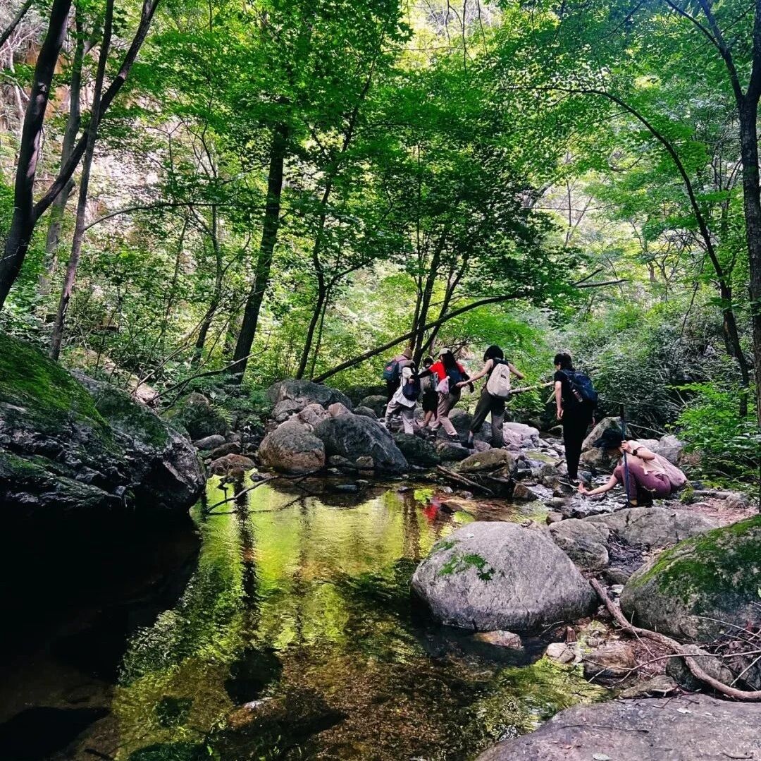 热门活动-椴树岭-百泉山8km泉水+森林徒步 [周六]