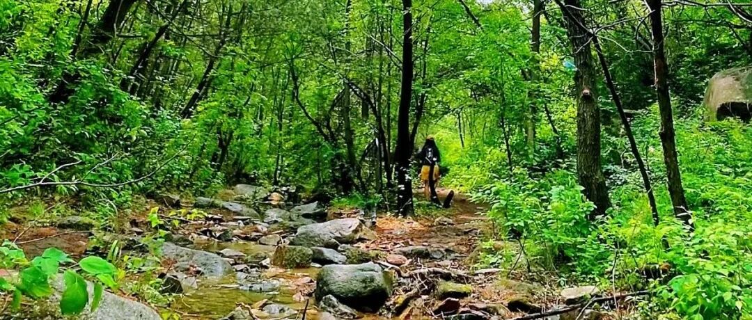 热门活动-莲花滩休闲徒步！森林溪水~山野秘境 [周六、周日]