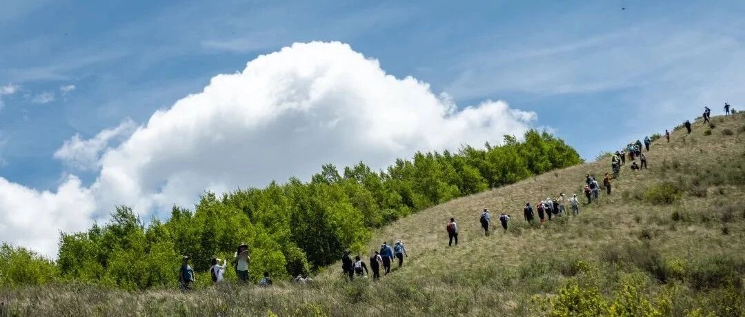 热门活动-【中级/初级】4月18日：怀来第一高峰大黑峰「 森林」「 高山草甸」