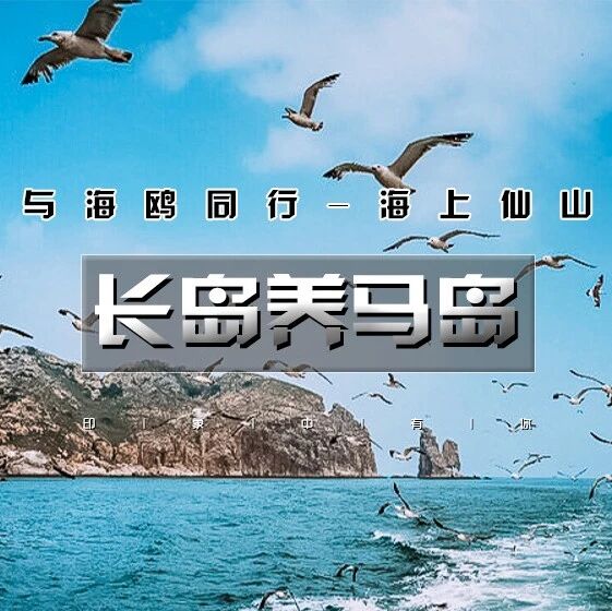 五一4天•长岛养马岛｜与海鸥同行の深度游长岛-蓬莱仙境-打卡网红养马岛-文成城堡