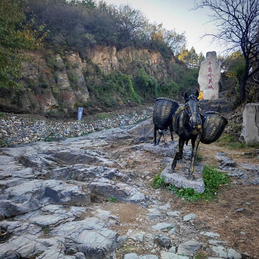 活动封面-【初级】4月26日：小华山-牛角岭环穿