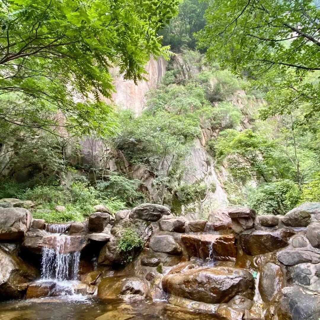 【初级】4月25日：百泉山-椴树岭