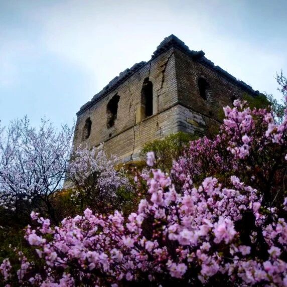 热门活动-【中级】4月25日：黄楼洼-石峡关「花路越雄关」