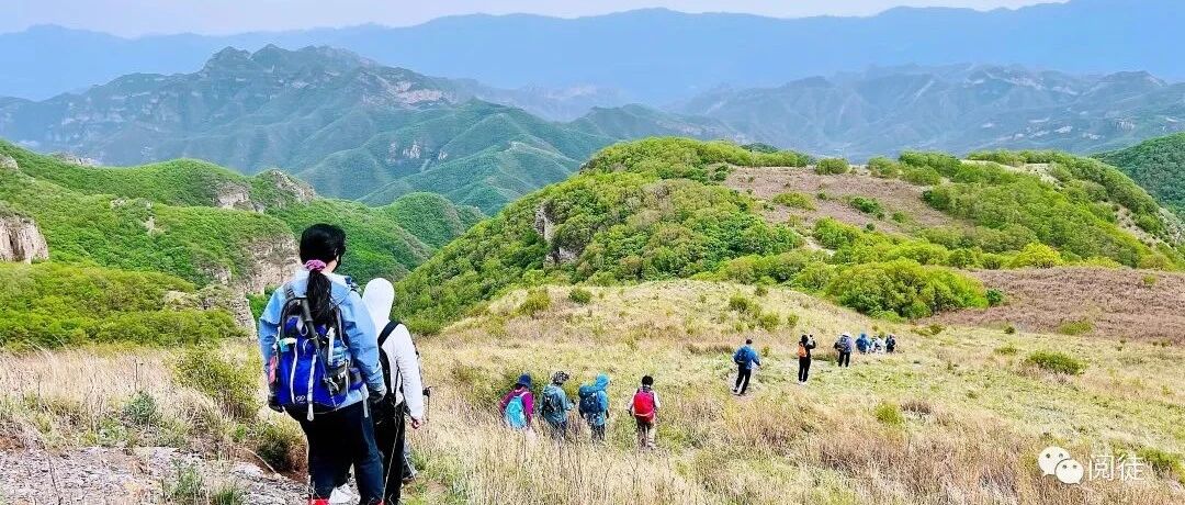 【初级+】5月3日：十里坪-黄草梁「 高山草甸」